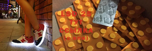 МДПВ Протвино