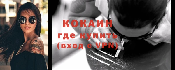 МДПВ Протвино