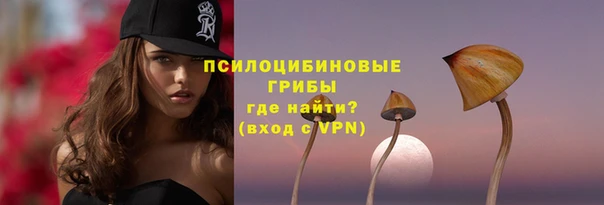 не бодяженный Ростов