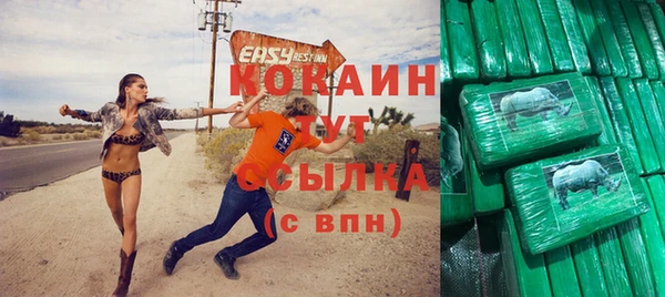 МДПВ Протвино