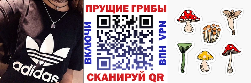 Купить где  Игра  Псилоцибиновые грибы мицелий 